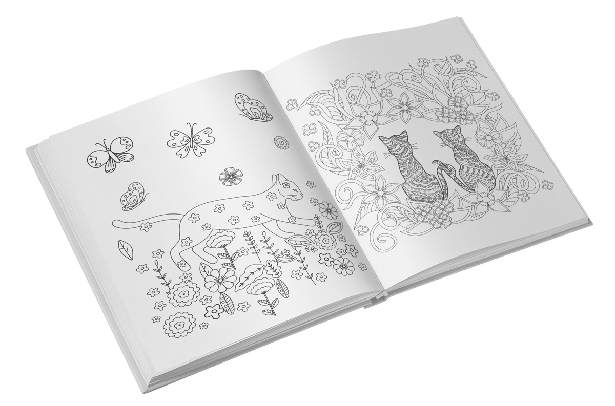 Colorez pisici - Carte de colorat - imagine 4