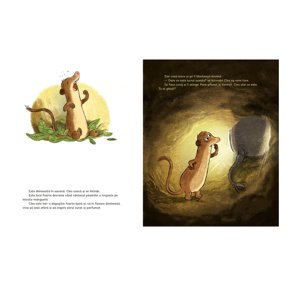 Curajul de a face ce simti - imagine 3