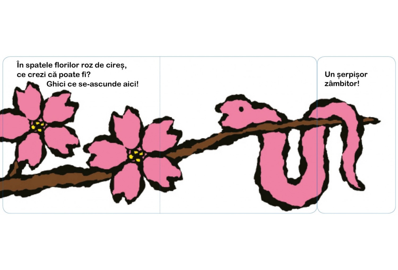 Ghici ce se ascunde aici!: Flori - imagine 5