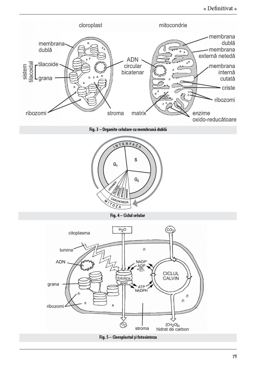 Ghid de pregatire pentru profesorii de biologie - Definitivat - Editia II - imagine 6