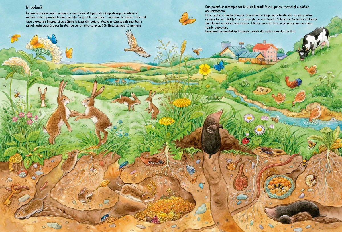 Lumea fascinanta a animalelor - imagine 3