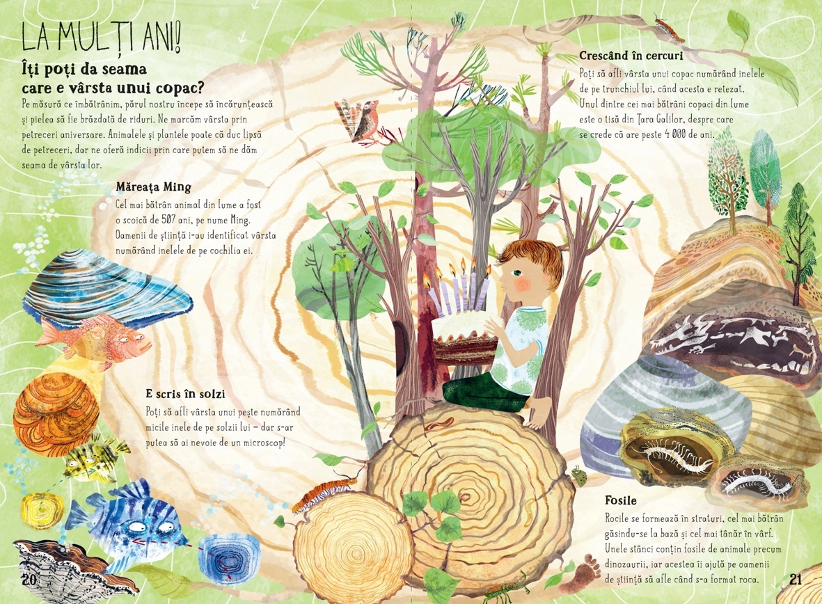 Marea carte cu intrebari - imagine 3