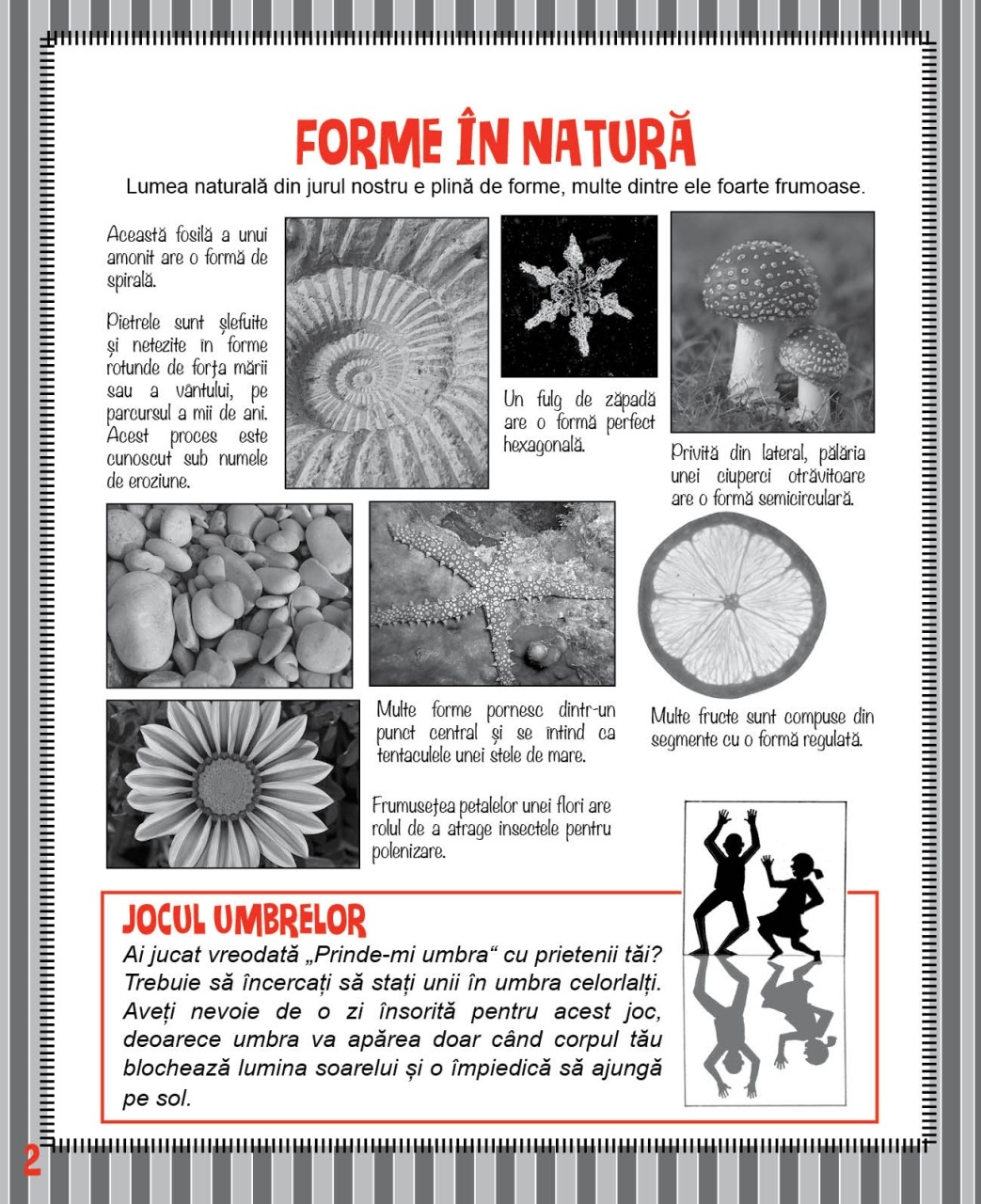 Matemagia - Forme: Cum sa le construiesti si povestile din spatele lor - imagine 4
