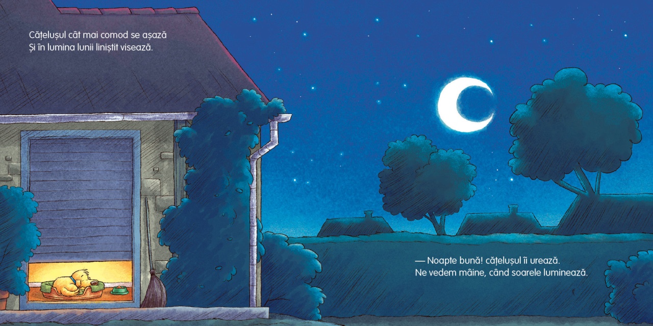 Noapte buna, catelusule! - imagine 5
