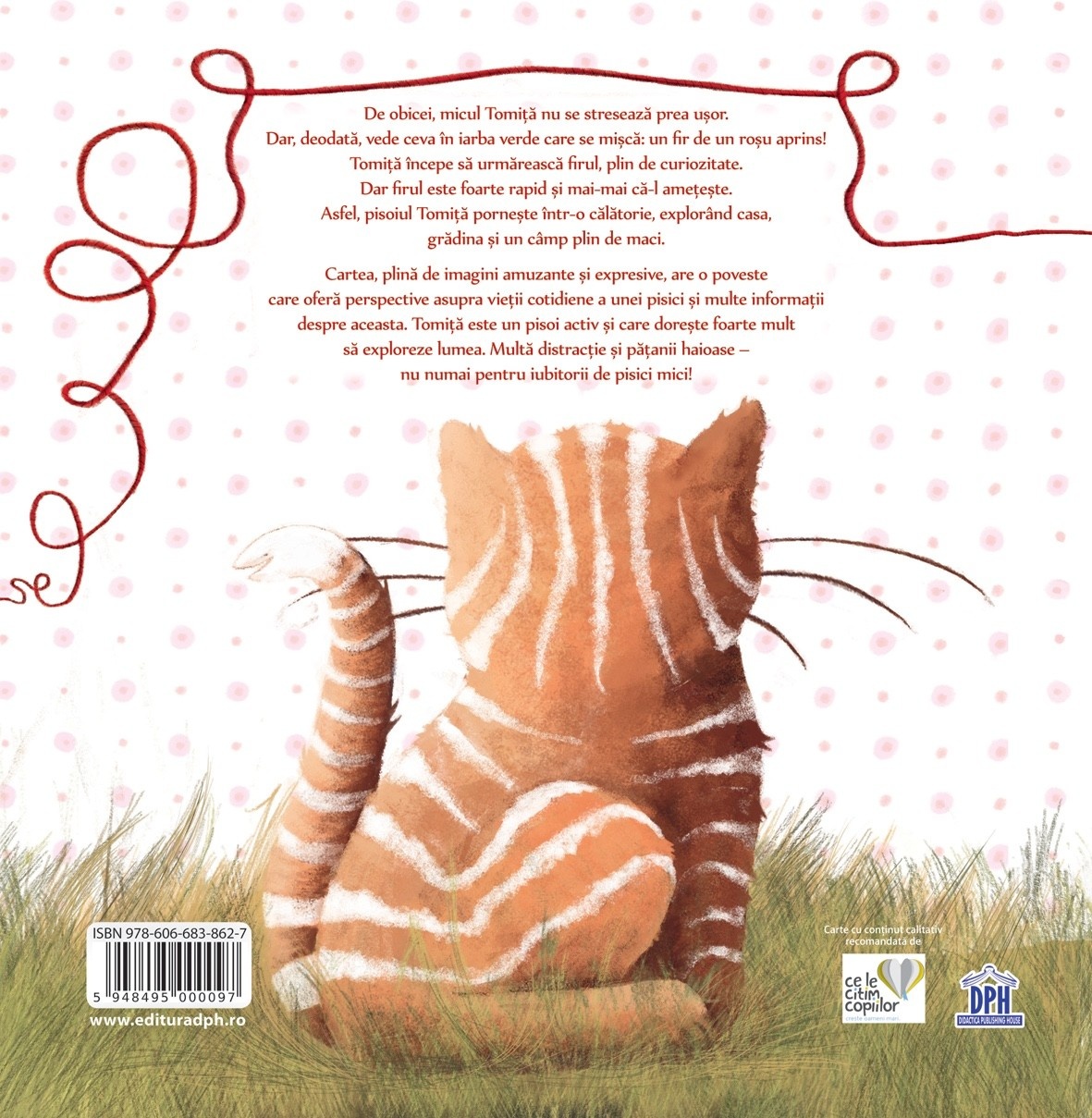 Tomita, un ghemotoc dupa un ghem - imagine 2