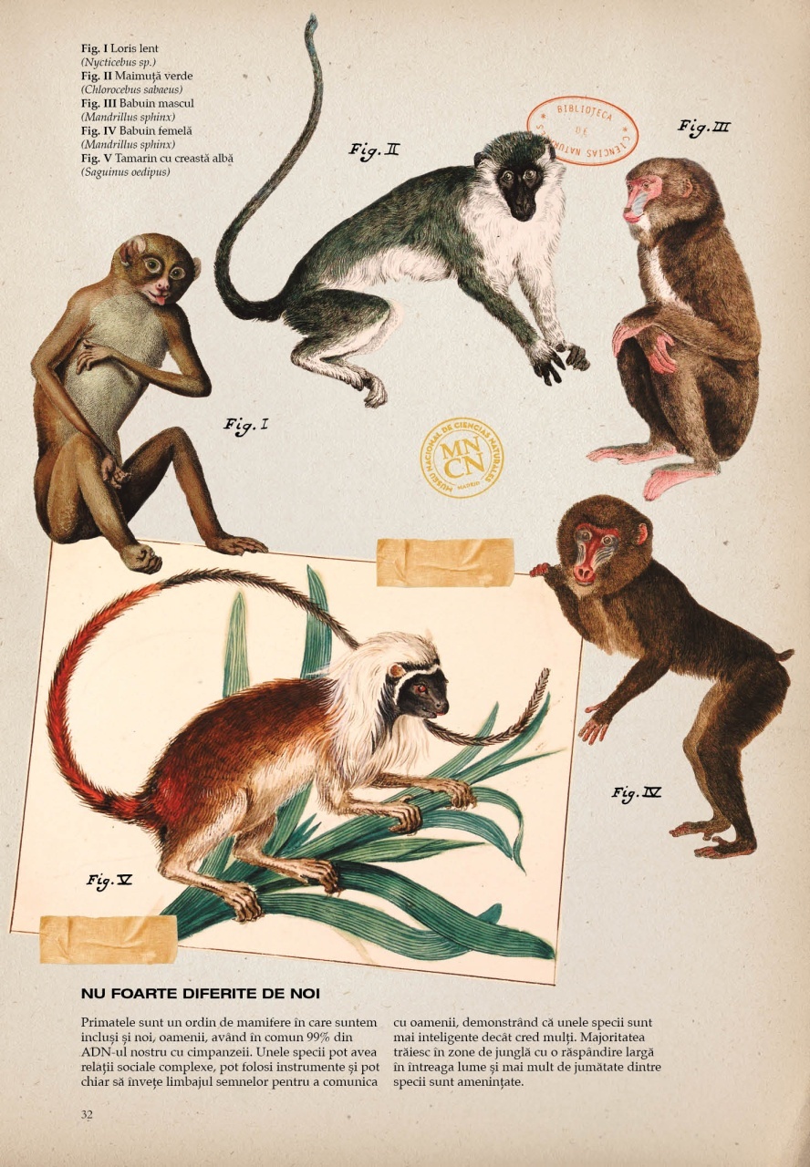 Zoologia ilustrata - imagine 7