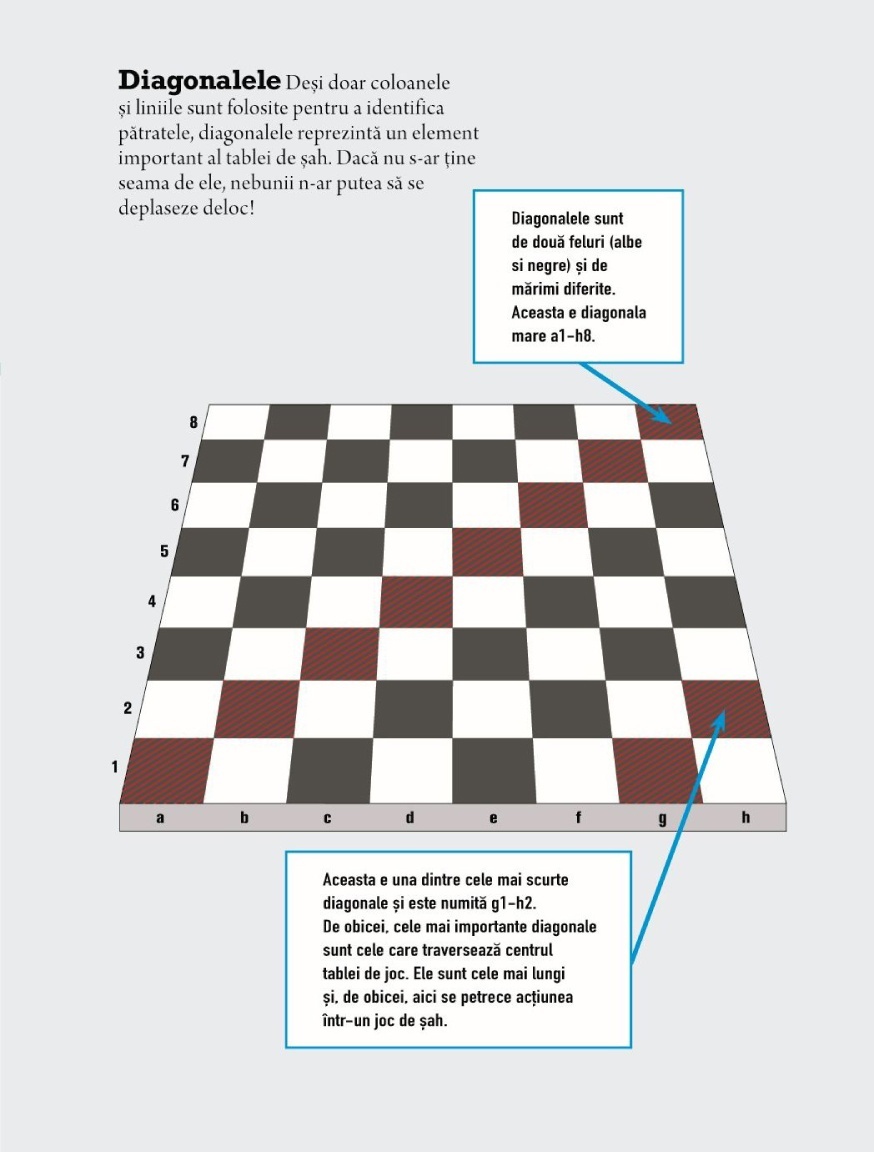 Biblia jucatorului de sah - Strategii ilustrate pentru a fi mereu in avantaj - imagine 5