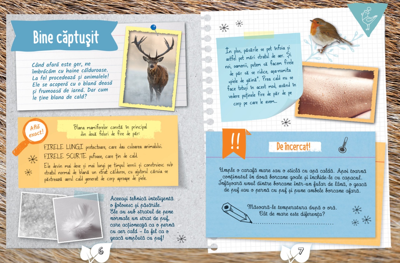 Cartea micului biolog: Iarna - imagine 4