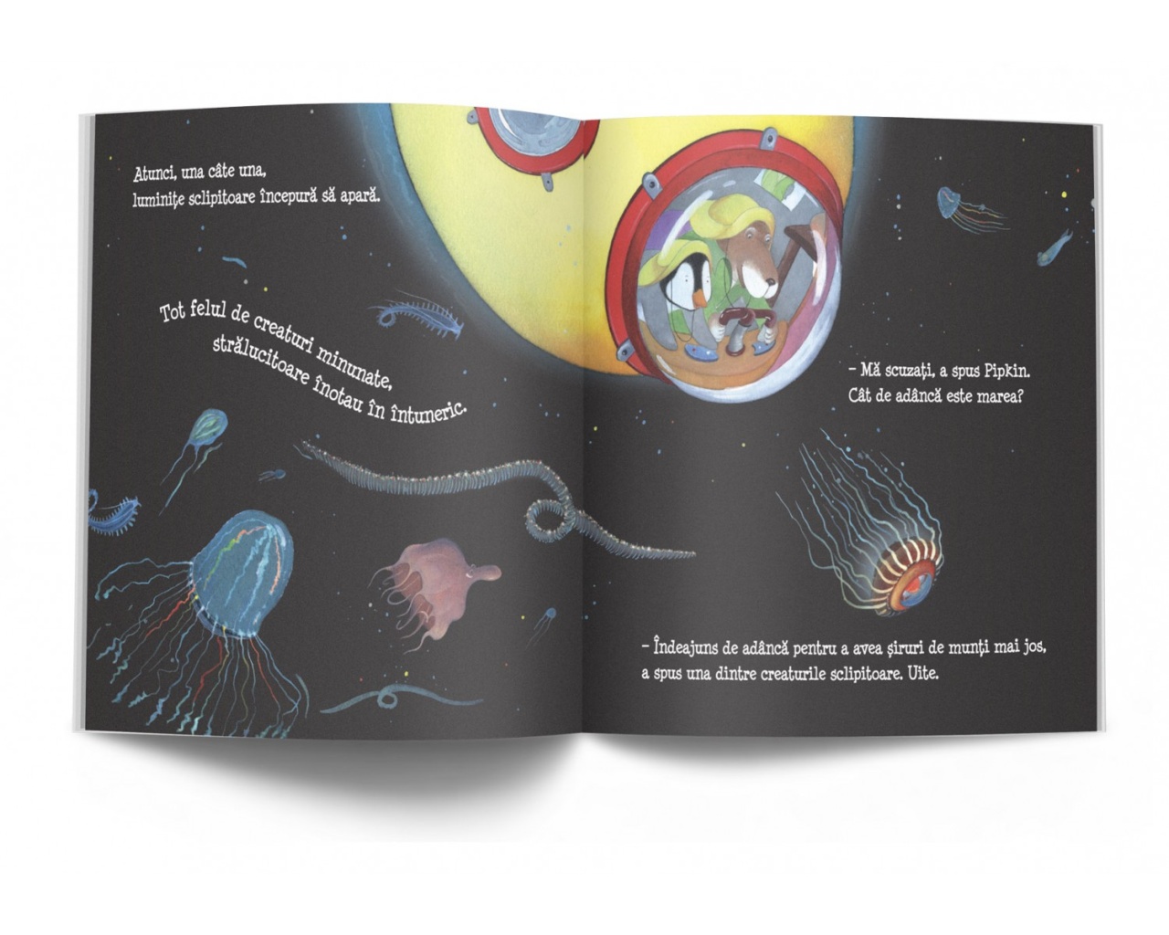 Cat de adanca este marea? - imagine 4