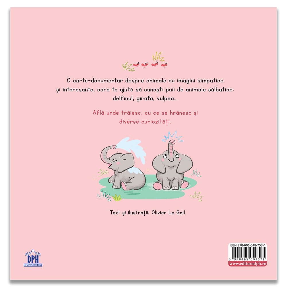 Ce stii despre puii de animale salbatice? - imagine 2