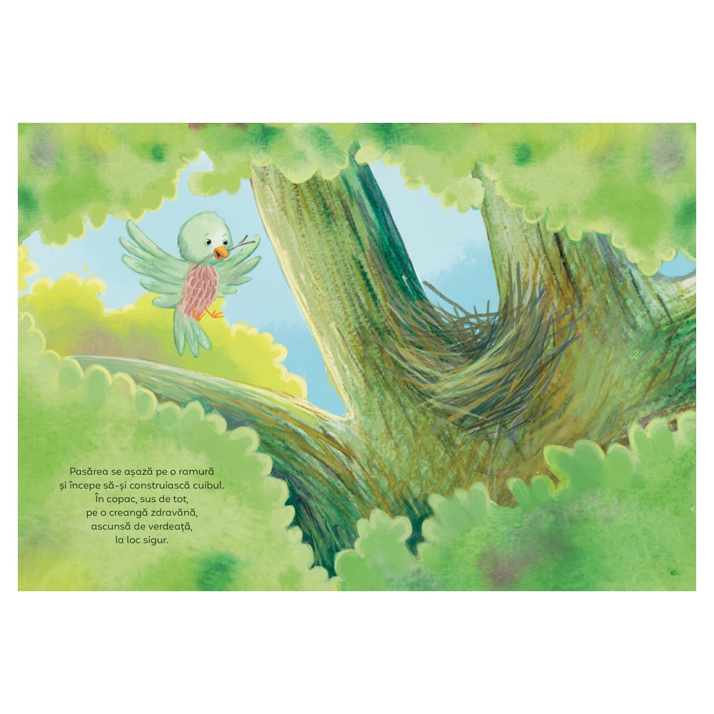 Copacii nu sunt doar pentru pasari. O poveste despre acceptare si armonie - imagine 4