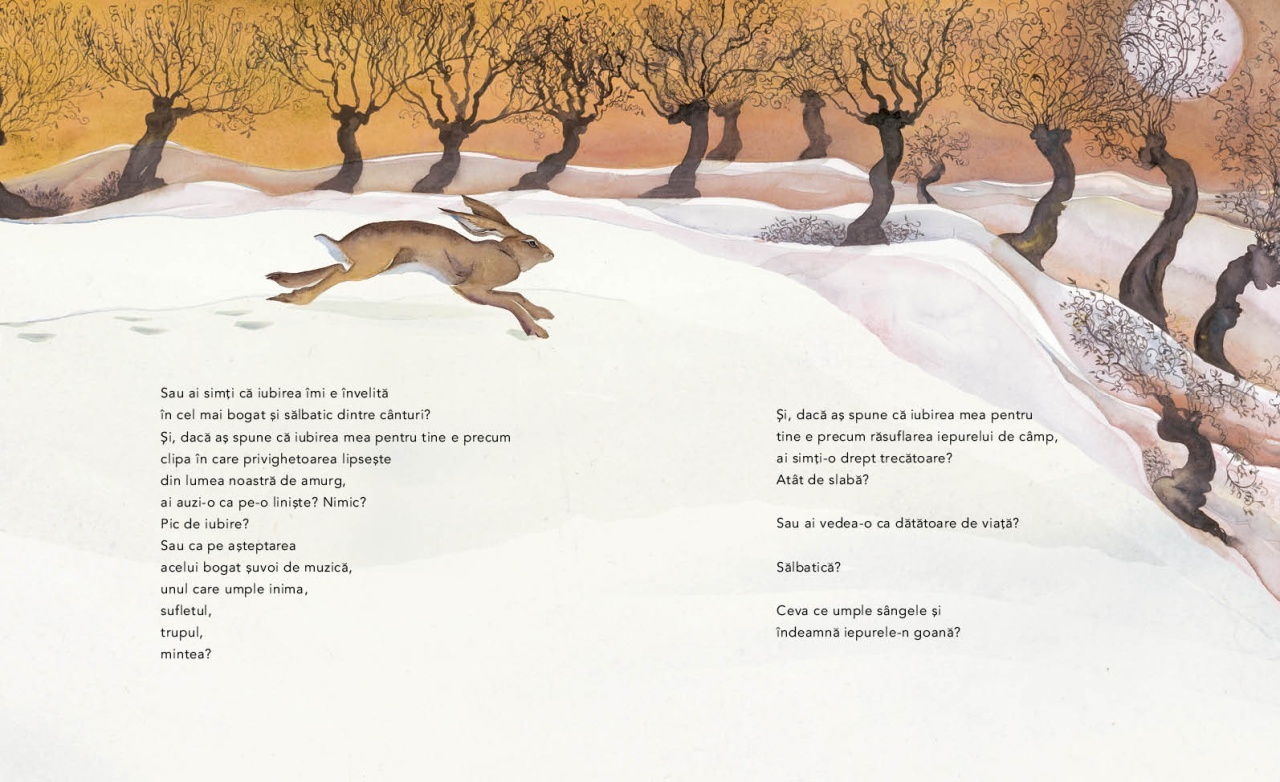 Descatusarea si alte reverii - imagine 5