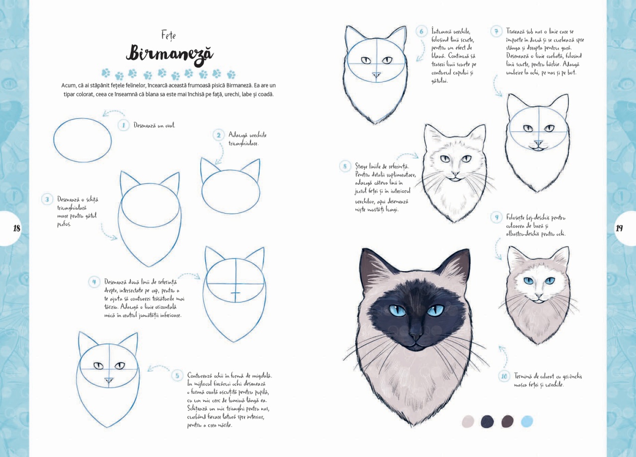 Desen in 10 pasi. Pisici - imagine 4