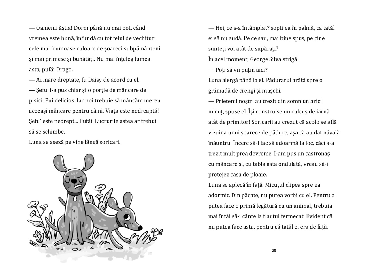 Luna si padurea magica - Vol. 8: Un arici cazut intr-un somn adanc - imagine 4