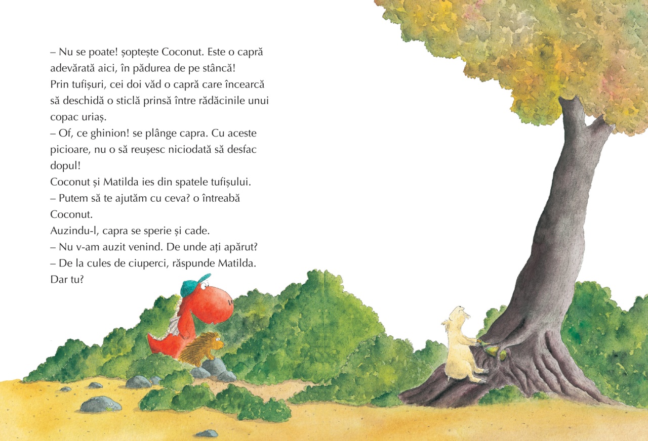 Micul Dragon Coconut si Marele Vrajitor - imagine 4