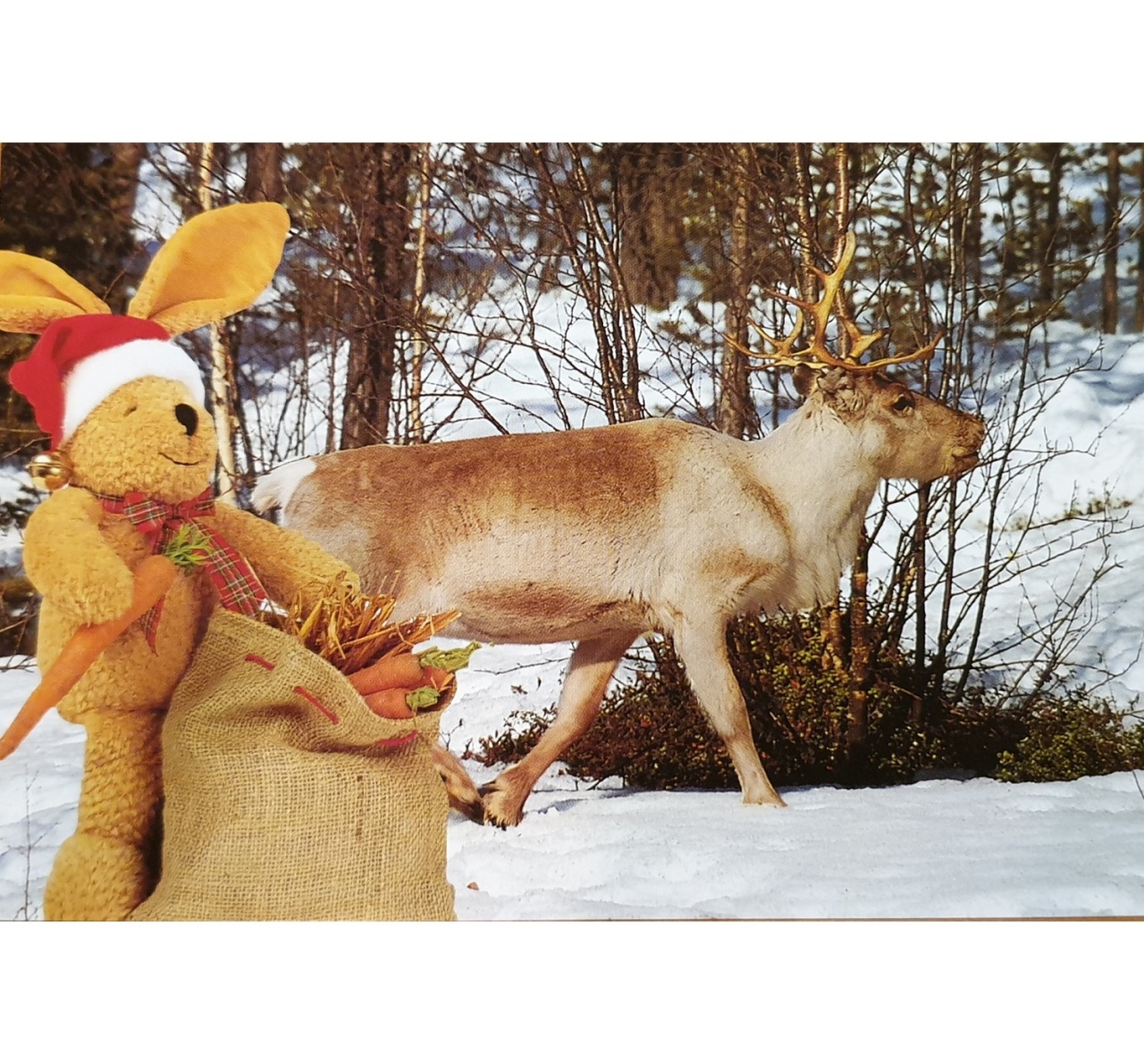 Scrisori de Craciun de la Felix - imagine 3