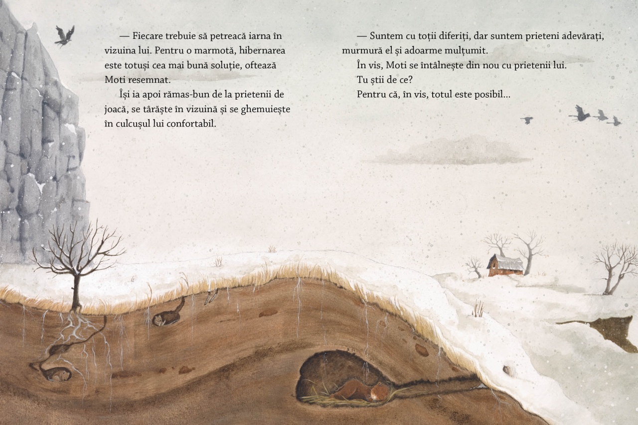 Somn usor, vise placute - imagine 5