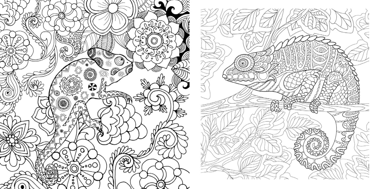 Animale si magie - Carte de colorat - imagine 3