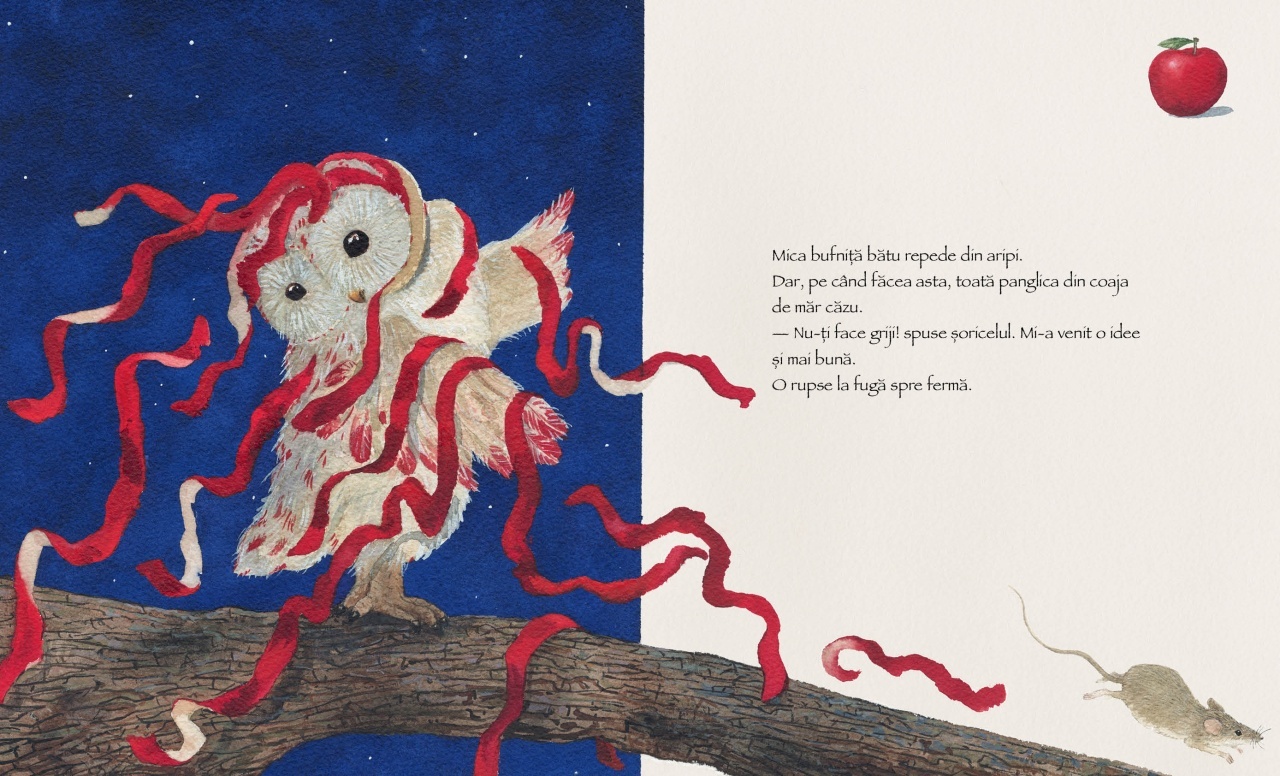 Bufnita cu aripi rosii - imagine 5