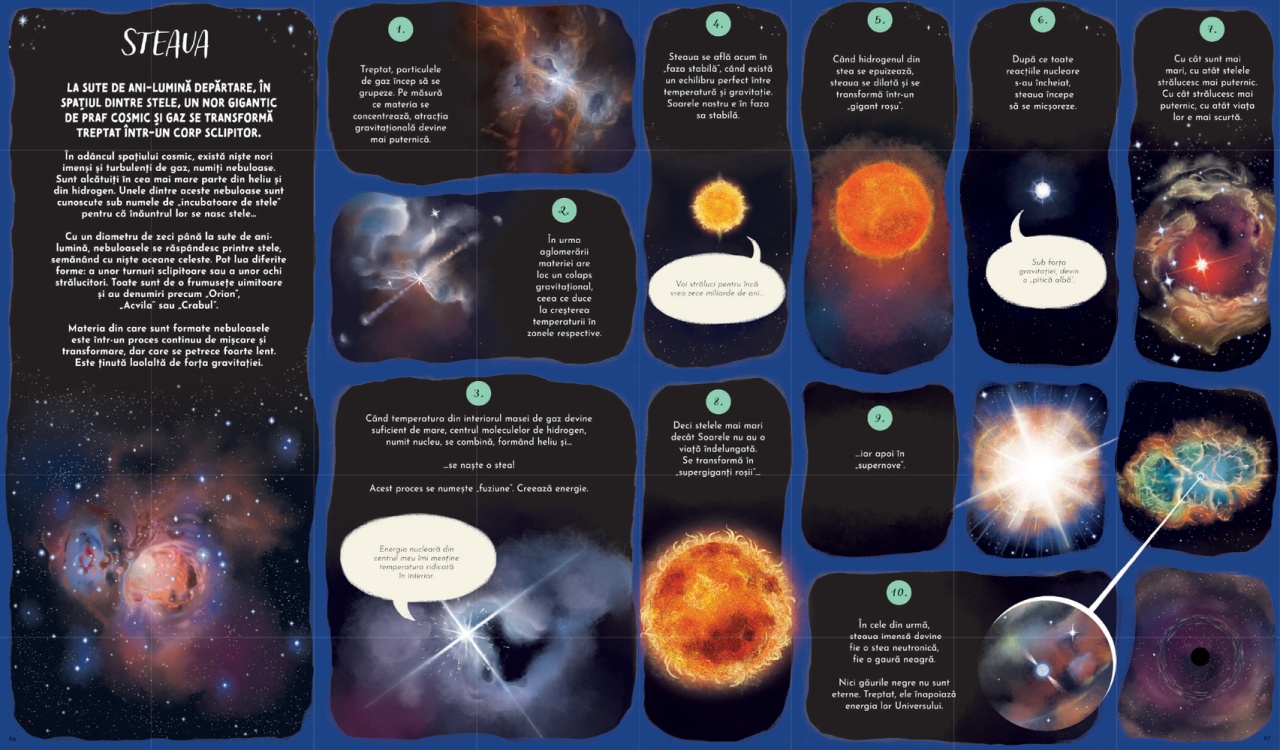 Ciclul vietii - O calatorie despre evolutia naturii - imagine 7