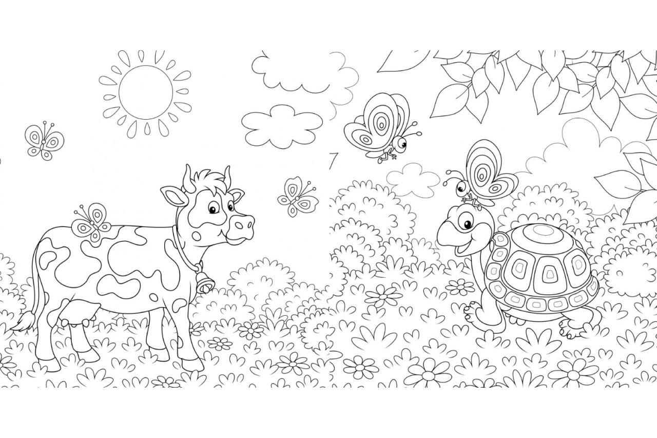 Colorez natura - Carte de colorat - imagine 4