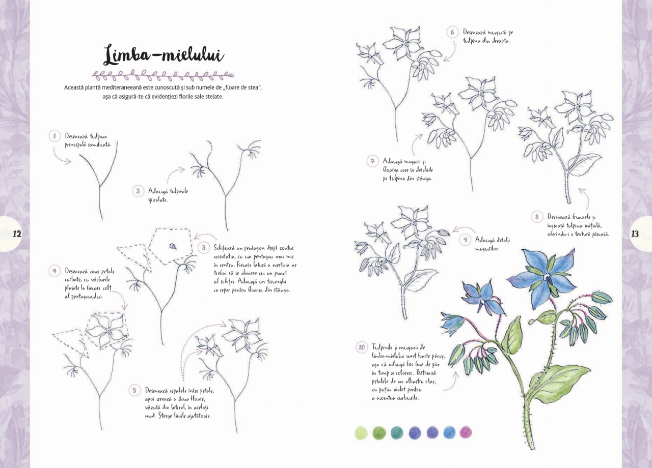 Desen in 10 pasi. Natura - imagine 4