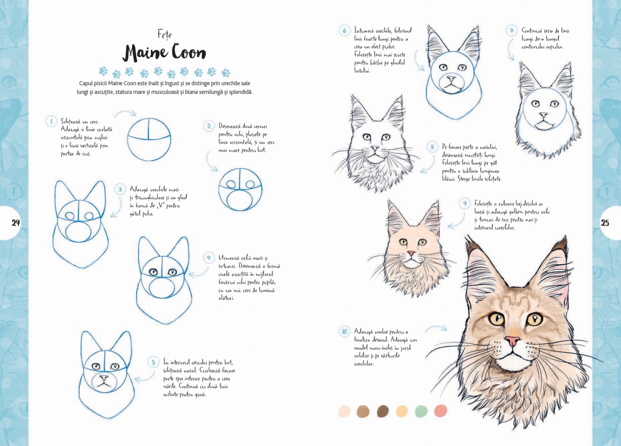 Desen in 10 pasi. Pisici - imagine 5