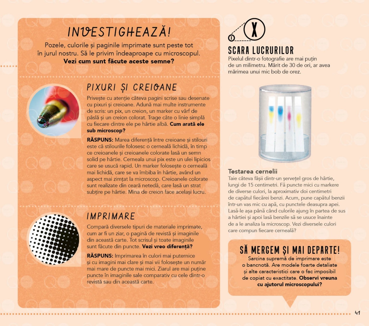 Lumea vazuta prin microscop - imagine 7