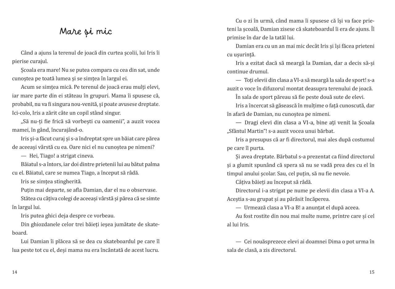 Umbre in curtea scolii - imagine 4