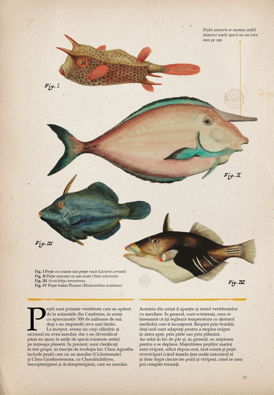 Zoologia ilustrata - imagine 4