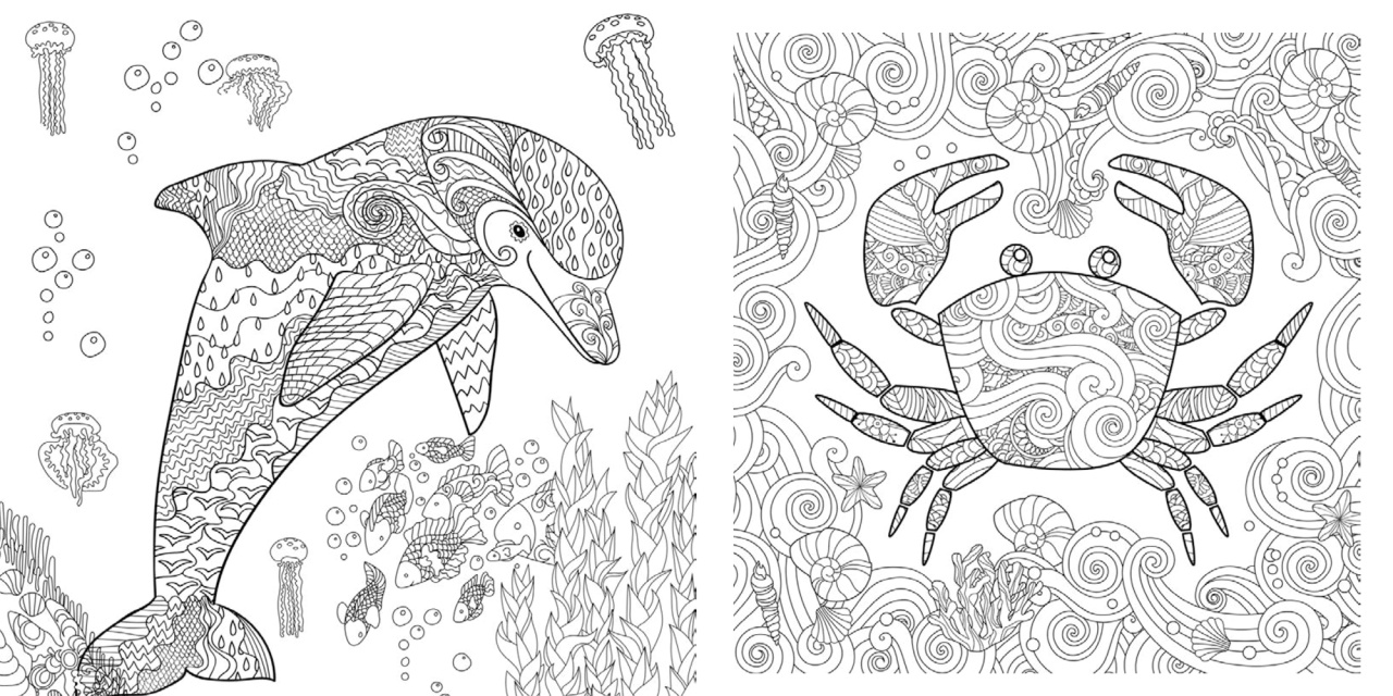 Animale marine - Carte de colorat - imagine 3