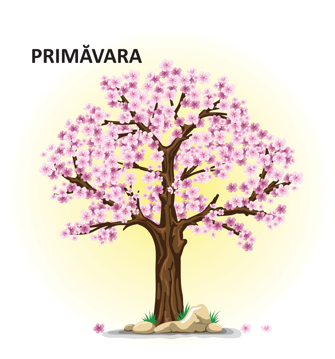 Anotimpurile - carti pliate - imagine 3