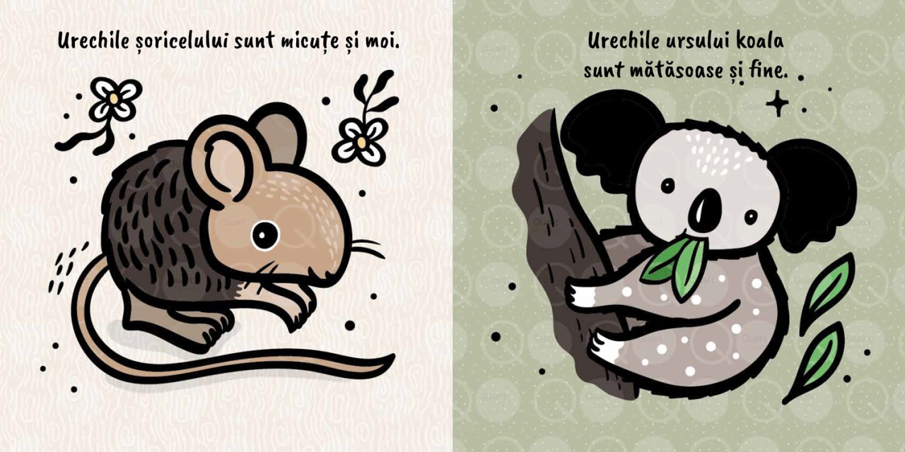 Atinge si simte - Urechi - imagine 3