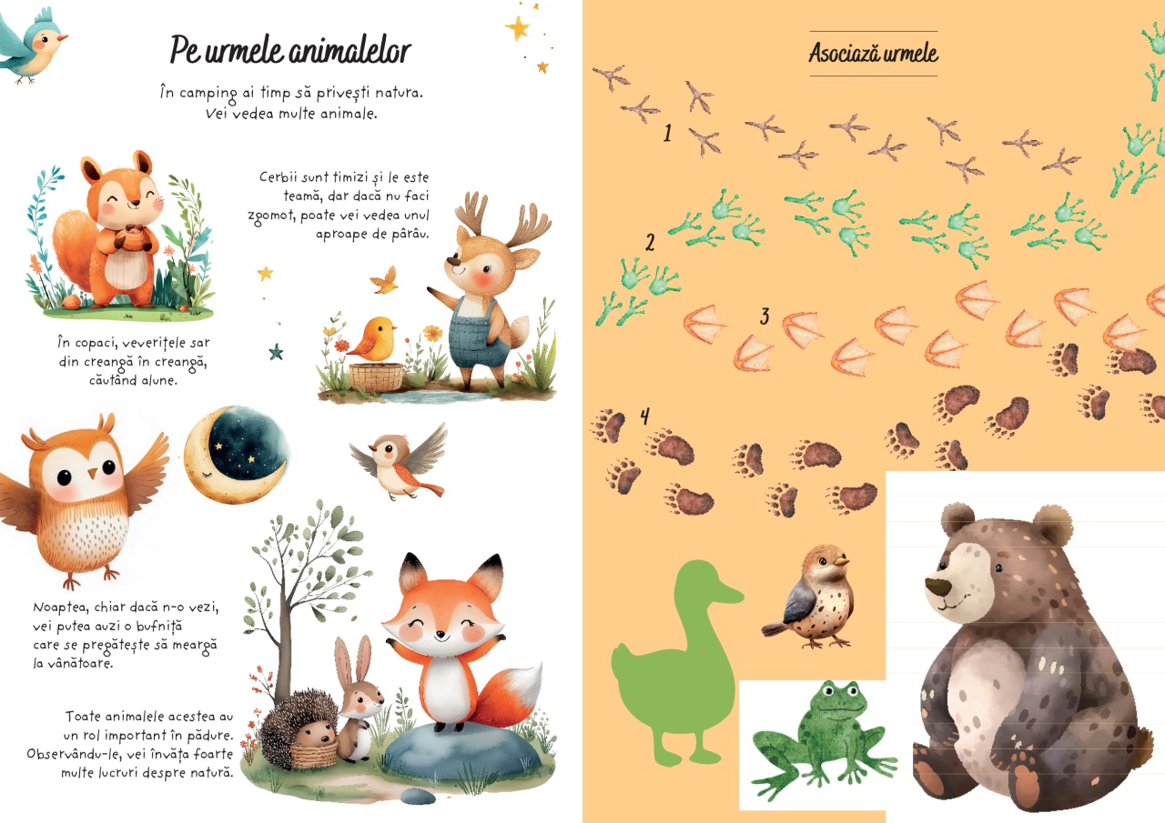 Aventuri la camping - Activitati si abtibilduri - imagine 5