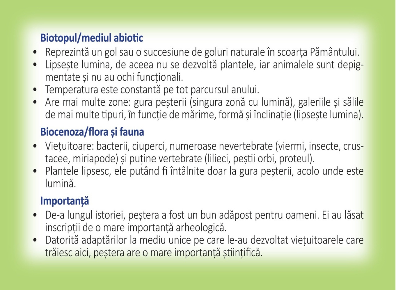 Biologie - 36 de jetoane - Clasa a V- a - imagine 3