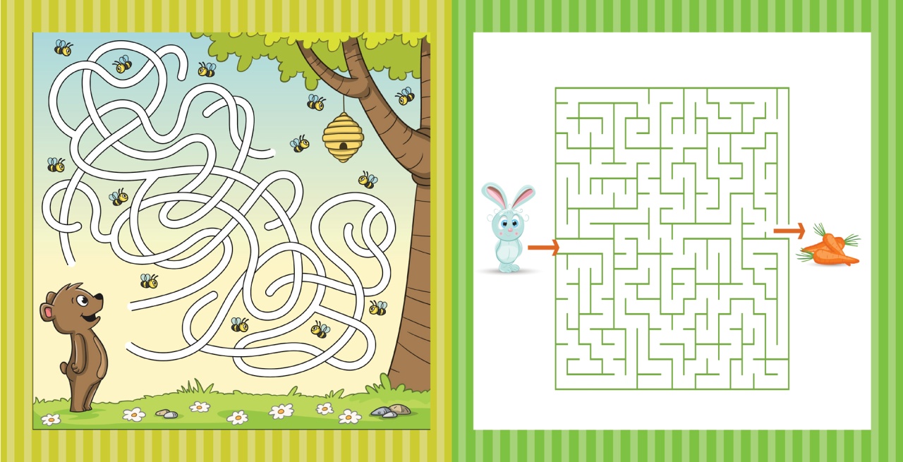 CARTEA MEA CU LABIRINTURI - 46 de labirinturi refolosibile + o carioca - imagine 4