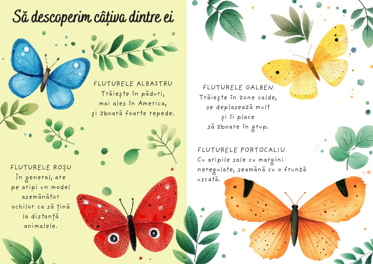 Fluturii - Puzzle magic de colorat cu apa - imagine 3