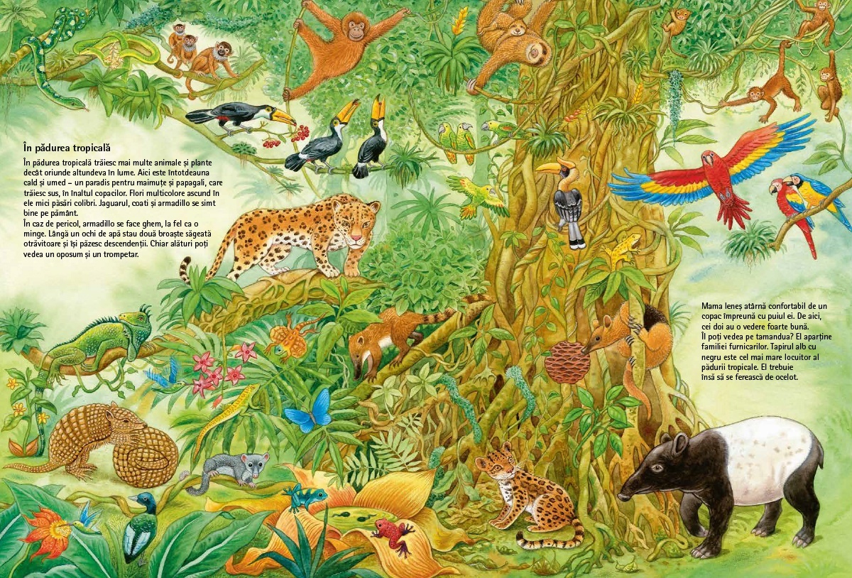 Lumea fascinanta a animalelor - imagine 4