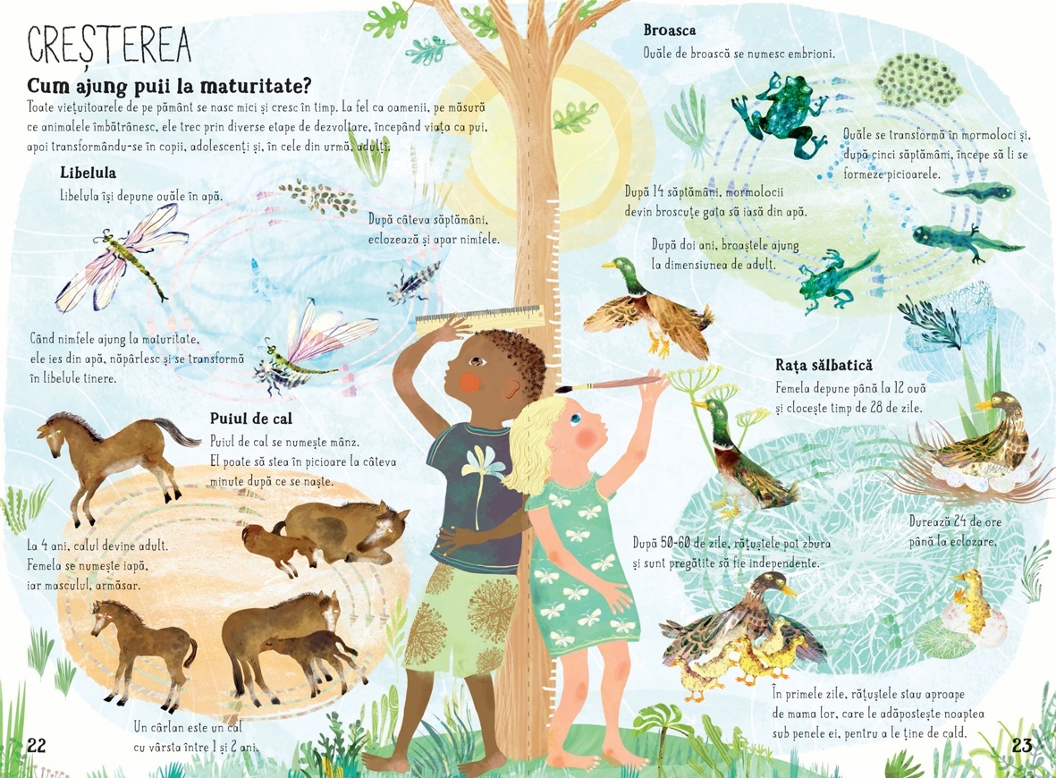 Marea carte cu intrebari - imagine 4