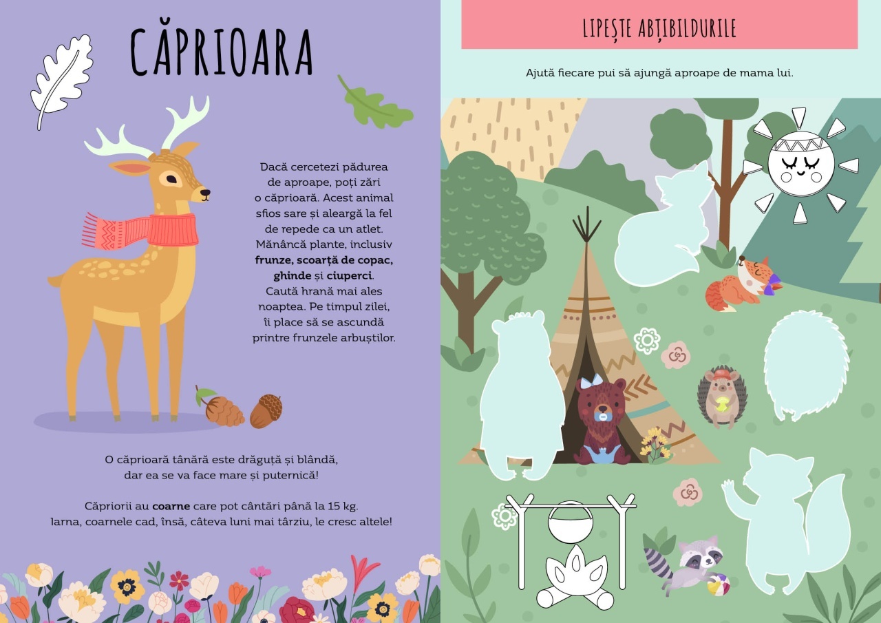 Padurea - Activitati si abtibilduri - imagine 3