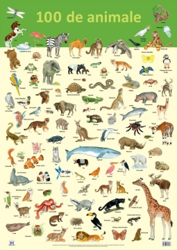 Plansa - 100 de animale