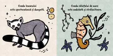 Atinge si simte - Cozi - Img 3
