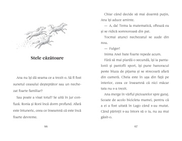 Aventuri cu Ponei - Vol. 1 - Ana si Magia Poneiului - Img 5