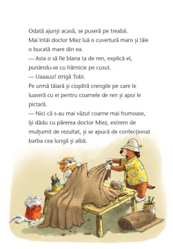 Doctorul Miez: O minune de Craciun - Img 6