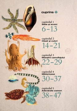 Lumea subacvatica - Img 3