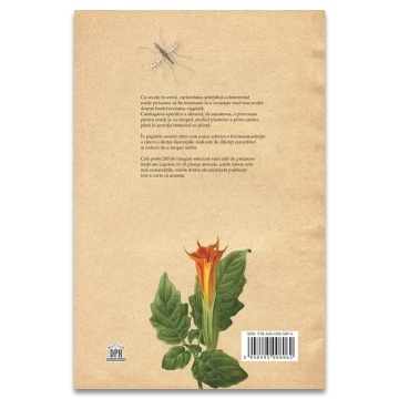 Botanica ilustrata - Img 2