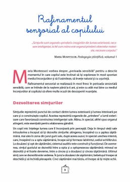 Explorez culorile cu Montessori - In Romana si in Engleza - 163 de jetoane pentru dezvoltarea vocabularului si a creativitatii - Img 2