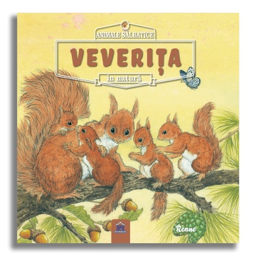 Animale salbatice in natura: Veverita