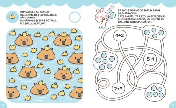 Kawaii - Activitati matematice distractive - Img 3
