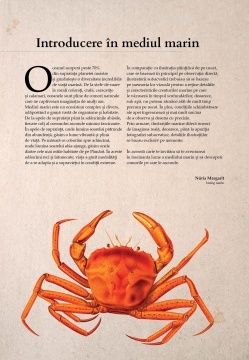 Lumea subacvatica - Img 4